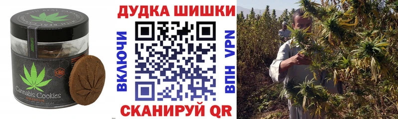 Купить закладки  Таштагол  Canna-Cookies конопля 