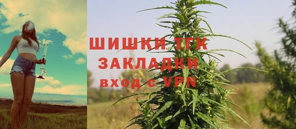 мяу мяу мука Елабуга
