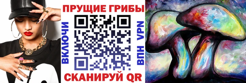 Купить где Таштагол Псилоцибиновые грибы MAGIC MUSHROOMS